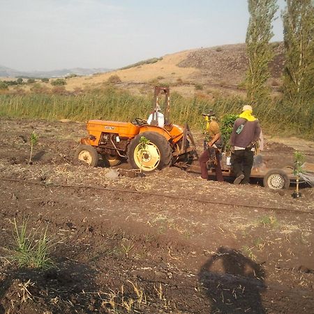 Nuriel Fruit & Guest House Sheʼar Yashuv Exterior foto