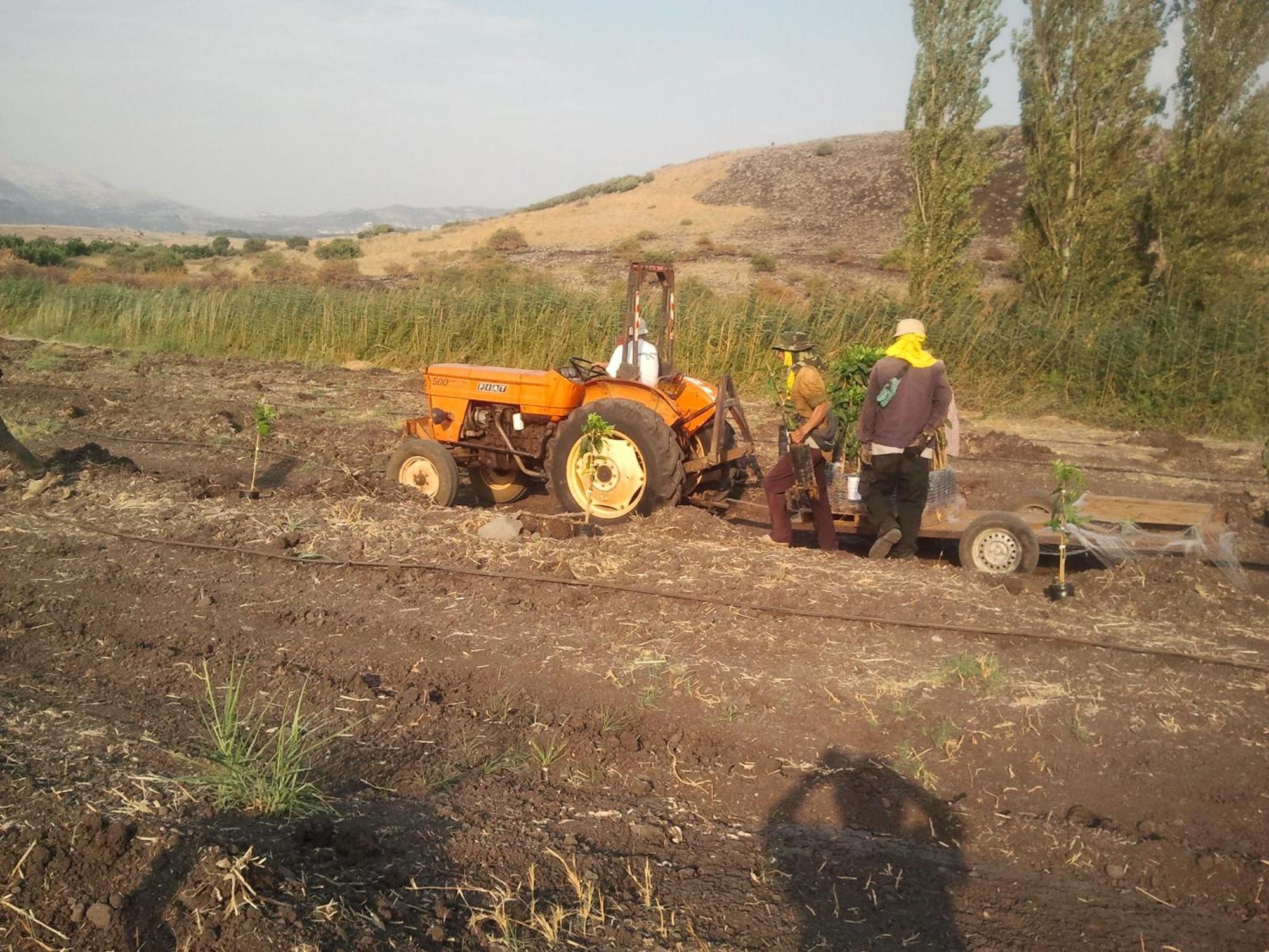 Nuriel Fruit & Guest House Sheʼar Yashuv Exterior foto